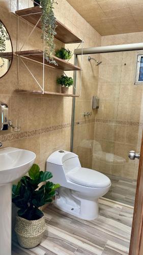 a bathroom with a toilet and a sink and a shower at Posadas nido del tecolote in Guadalajara