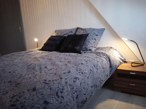 sypialnia z łóżkiem z poduszkami w obiekcie La Mulhousienne de France w Miluzie