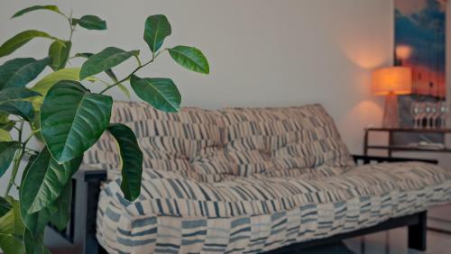 sala de estar con sofá y planta en La casa del Fotografo en Mendoza