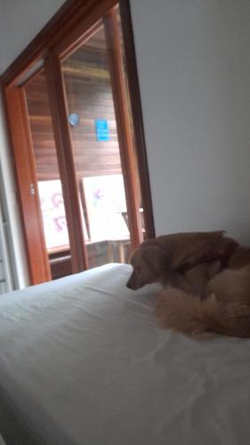 un perro tirado en una cama delante de una puerta en Condomínio Mata Azul, en São Sebastião