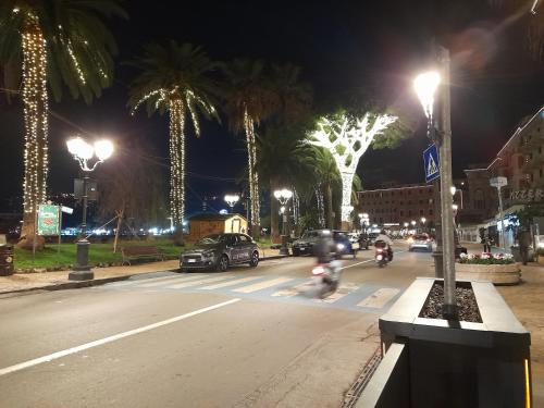 a city street at night with cars and palm trees at Sweet Lucy in Rapallo