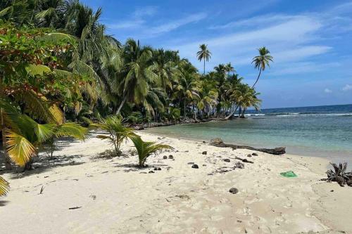 a sandy beach with palm trees and the ocean at San Blas Islands - Private Cabin Over-the-Ocean including Meals in Mandinga