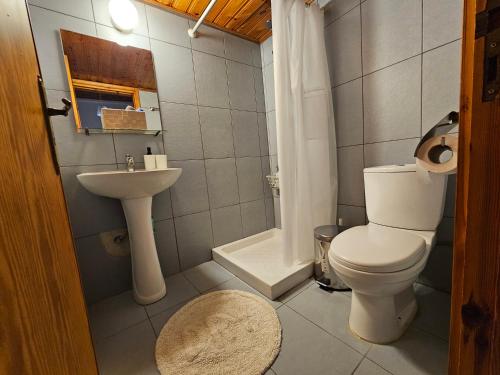 a bathroom with a toilet and a sink at Cozy Traditional 1 Bedroom Home Omodos Village in Omodos