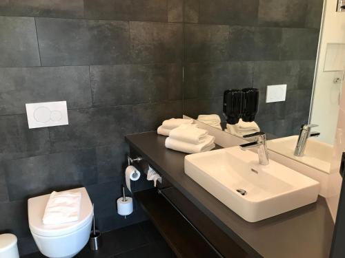 a bathroom with a sink and a toilet and a mirror at Hotel Donauhof Mauthausen in Mauthausen