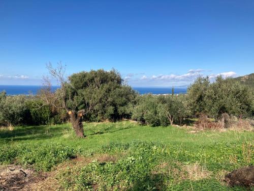 Φυσικό τοπίο κοντά σε αυτή η παραθεριστική κατοικία