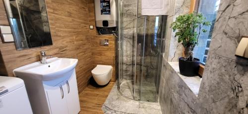 a bathroom with a shower and a sink and a toilet at Pogodna Chata, jacuzzi & sauna in Knurów