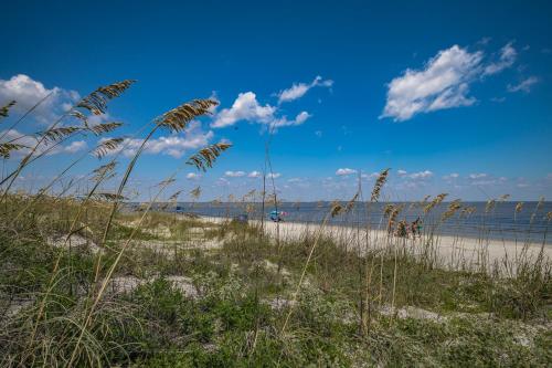 a sandy beach with tall grass and the ocean at New Listing! - Pool and Ocean View - Harbor Island Beachhouse in Harbor Island