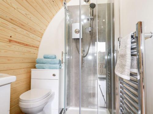 bagno con doccia e servizi igienici. di Vic a St Austell