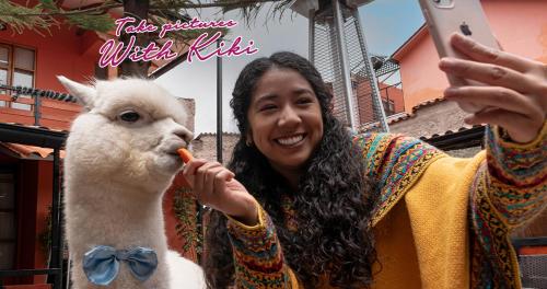 a woman feeding a llama with a carrot in its mouth at Union Hotel Cusco in Cusco
