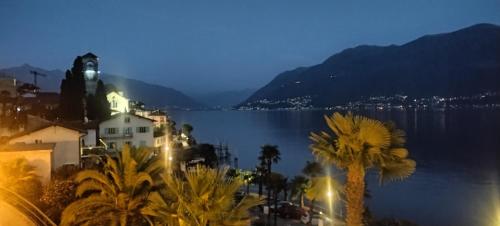 a view of a body of water with palm trees at Appartamento vicino al lago in Brissago