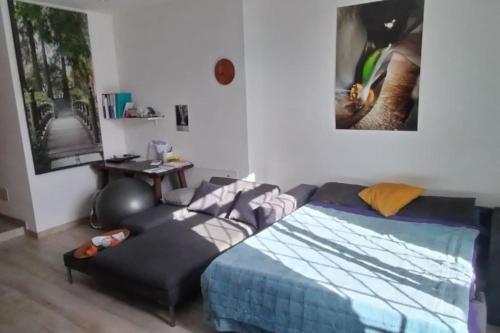 ein Schlafzimmer mit einem Bett und einem Stuhl darin in der Unterkunft Appartamento vicino al lago in Brissago