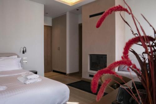 Fotografie z fotogalerie ubytování Μikri Arktos Boutique Hotel v destinaci Dimitsana