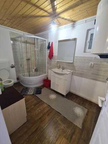 Koupelna v ubytování Cabana Dor de Apuseni