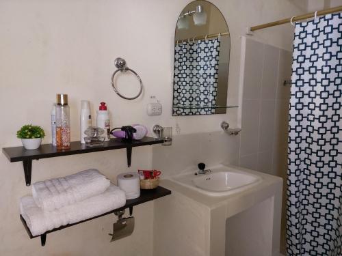 ein Bad mit einem Waschbecken und einem Spiegel in der Unterkunft Hotel Islas Galapagos in Puerto Baquerizo Moreno