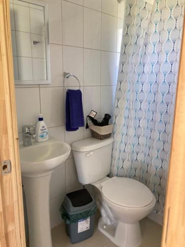 La petite salle de bains est pourvue de toilettes et d'un lavabo. dans l'établissement Cabañas Don Diego_cabaña 1, à Puerto Montt
