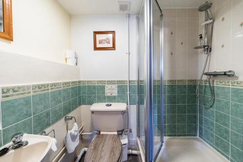 a bathroom with a toilet and a sink and a shower at Yallands Farmhouse in Taunton