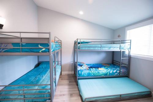 two bunk beds in a room with a window at Safari Adventure: Arcade, Golf, Playground, Cars & More! in Garden Grove
