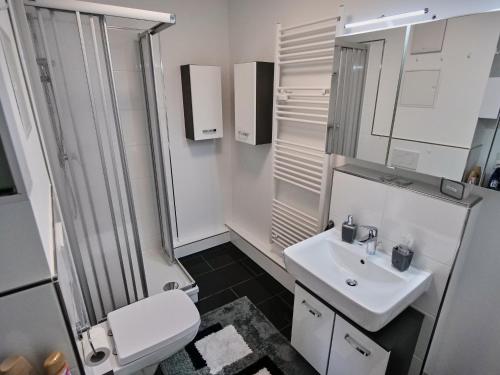 a small bathroom with a sink and a toilet at Apartment SCHILLER II - Erfurt Zentrum in Erfurt