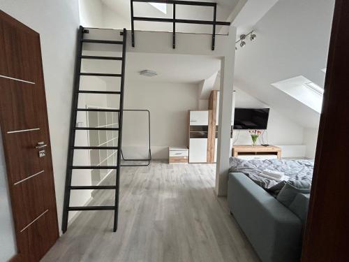 een slaapkamer met een stapelbed en een ladder bij Apartment Cimburkova in Praag