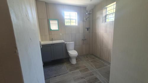 a bathroom with a toilet and a sink and a shower at Dream View Apartment in Johnsons Point