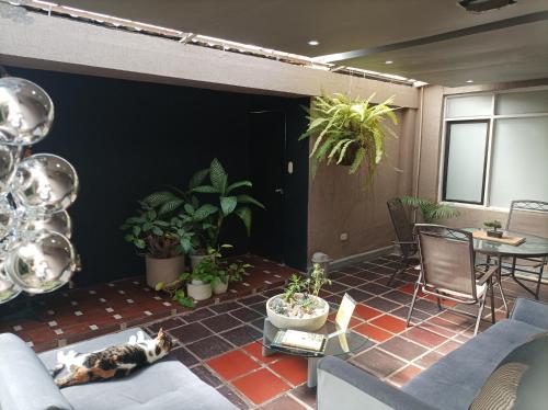 Conforta Rentals & Spa في بوبايان: غرفة معيشة مع قطة ملقاة على الأرض