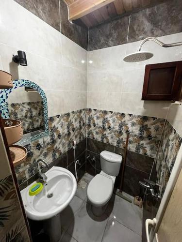 a small bathroom with a toilet and a sink at Apartment dahab in Dahab