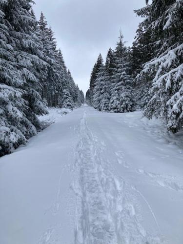 a snow covered road with trees and footprints in the snow at Terrier Ovifat - logement familial Nature et Sauna in Ovifat