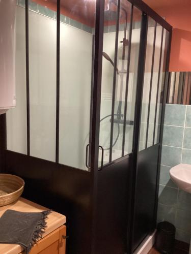 baño con puerta de cristal con lavamanos en Maisonnette Nantes en Nantes