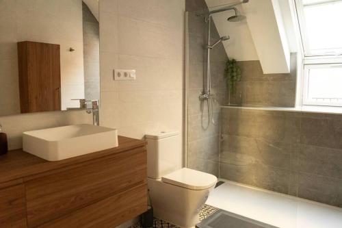 een badkamer met een toilet, een wastafel en een douche bij Apartamento NUEVO en el centro de León in León