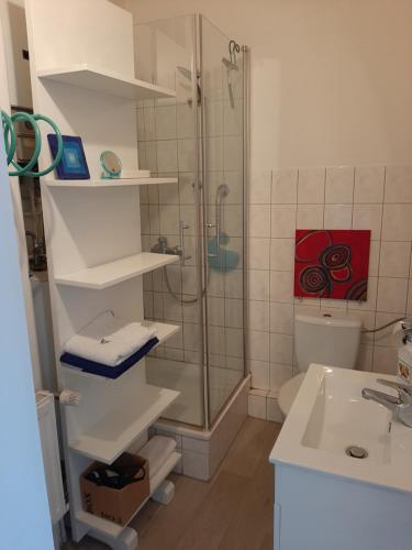 a bathroom with a shower and a toilet and a sink at City-Apartment 1 in Schwerin