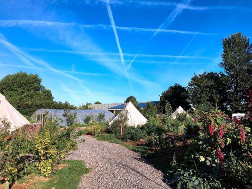 a garden with many plants on a gravel road at The Holford Arms in Tetbury