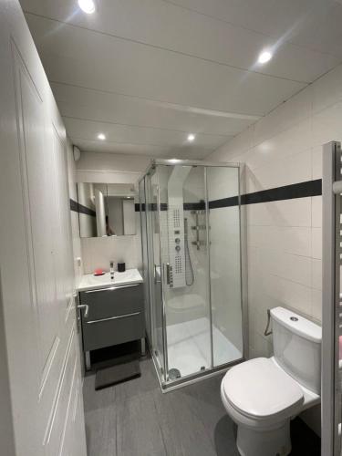 ein Bad mit einer Dusche, einem WC und einem Waschbecken in der Unterkunft Appartement bord de mer avec piscine in Vallauris
