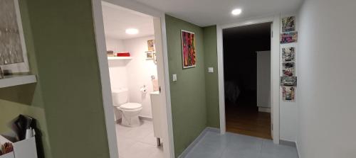 a bathroom with a toilet and a green wall at Cabana Monte do Castro in Porto do Son