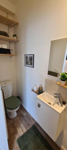 une salle de bain avec toilettes, lavabo et miroir dans l'établissement Adorable studette proche gare, à Chartres