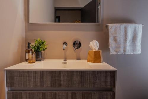 a bathroom with a sink and a mirror at Condesa Luxury Apartments in Mexico City