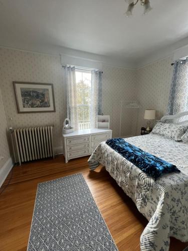 1 dormitorio con cama y ventana en Century Elms Bed and Breakfast, en Janesville