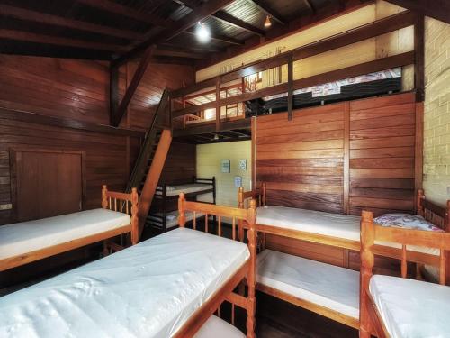 Pokój z 3 łóżkami piętrowymi i drewnianymi ścianami w obiekcie Tô na Guarda Hostel w mieście Palhoça