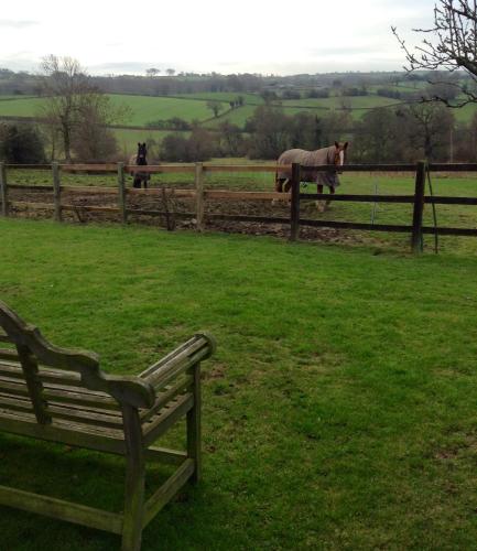 a bench in a field with horses behind a fence at Derbyshire Holiday Cottages in Holmesfield