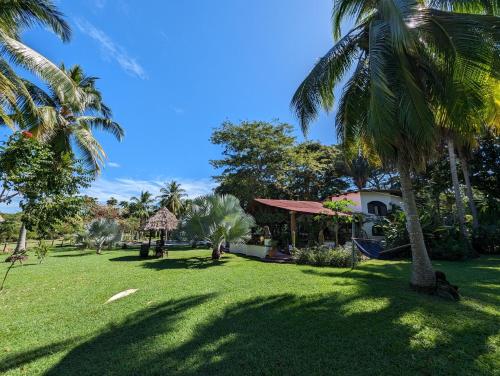 un parque con palmeras y una casa en Paraiso Cocodrilo lodge - spirit of nature, en Sámara