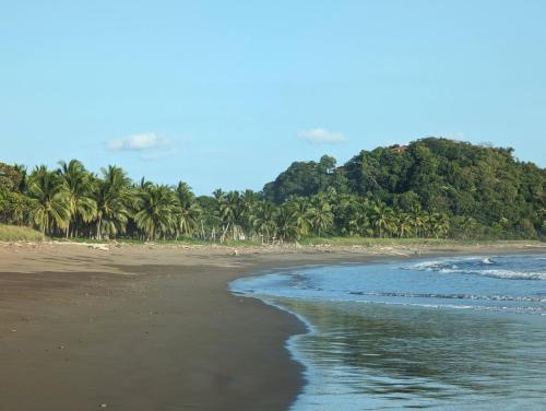 a beach with palm trees and the ocean at spirit of jungle lodge in Sámara