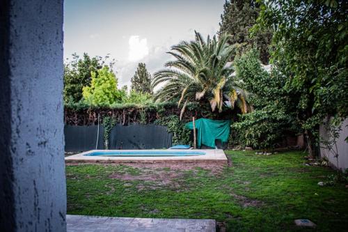 une cour avec un palmier et une piscine dans l'établissement un sueño para viajar, à Luján de Cuyo