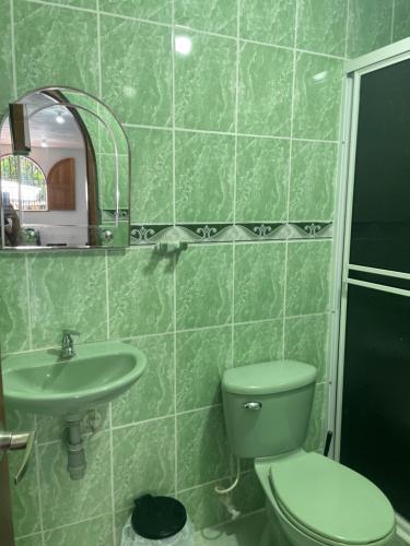 uma casa de banho verde com um WC e um lavatório em La torrecita em Barbosa