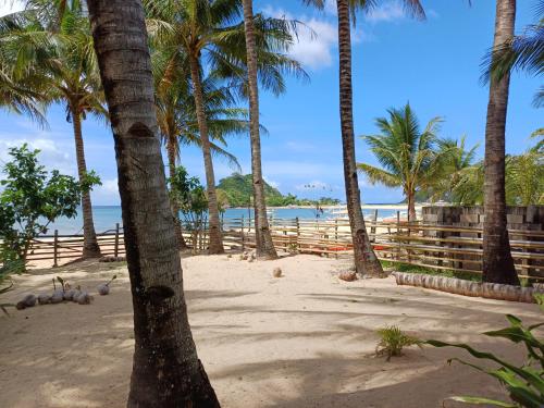 a group of palm trees on a sandy beach at Calitang Pearl Cottage in Nacpan