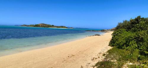 a sandy beach with trees and the ocean at Beach House Lodge in Poum