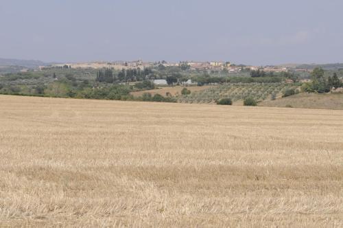 a field of dry grass with a city in the background at Le Tartarughe rooms in Magliano in Toscana