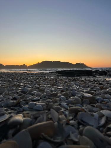 a group of rocks on a beach at sunset at cabaña Wenu Mapu queule in Queule