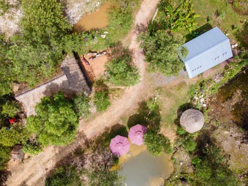 an overhead view of a pond with pink flowers at Kampot Camping in Kampot