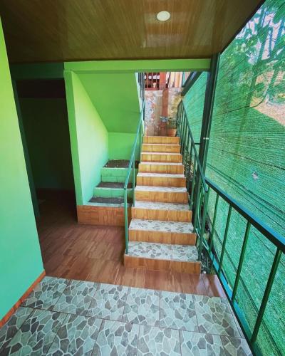 a staircase in a house with green walls and wooden floors at Ceiba lodge in Drake