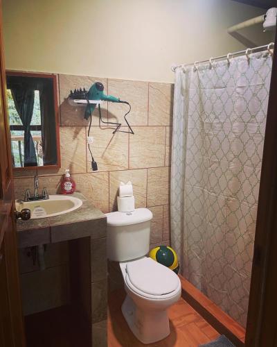 a bathroom with a toilet and a sink and a shower at Ceiba lodge in Drake