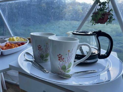 Kaffe- og tefaciliteter på La Comarca River Glamping Dome near Manuel Antonio